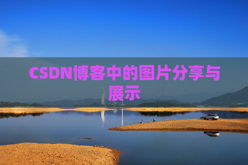 CSDN博客中的图片分享与展示